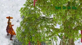 Võ Lâm II