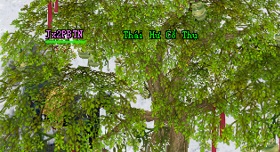 Võ Lâm II